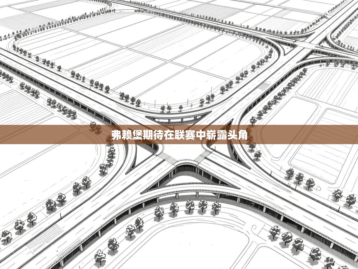 弗赖堡期待在联赛中崭露头角  第1张