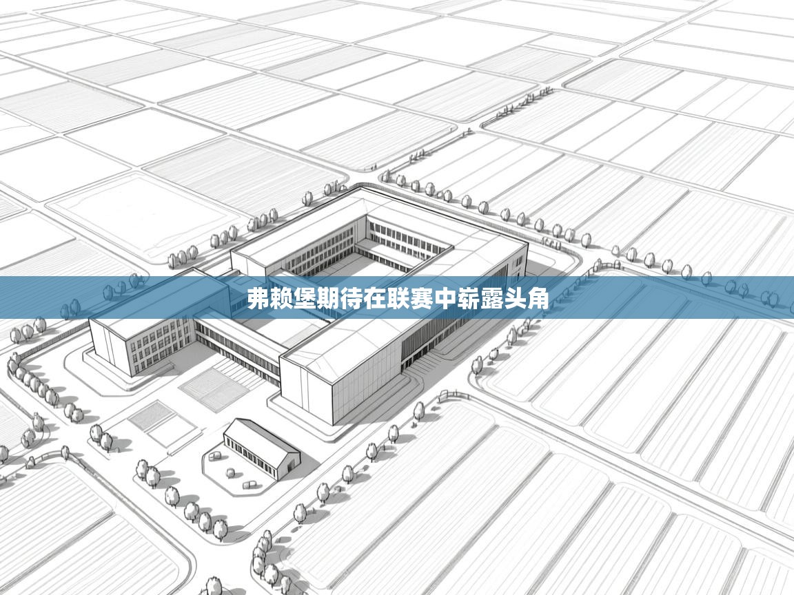 弗赖堡期待在联赛中崭露头角  第2张